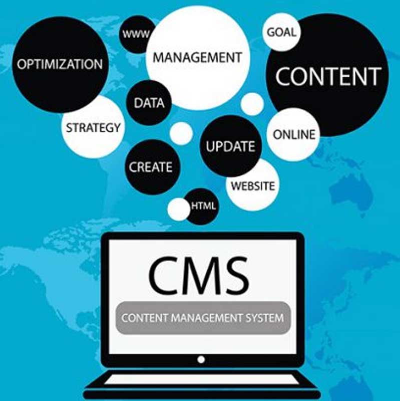 Web Content Management (WCM): o que é, vantagens e desvantagens